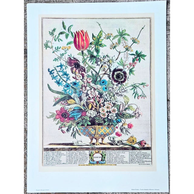 Illustration 1980s Vintage Robert Furber February Botanical From "Twelve Months of Flowers” Pierpont Morgan Library Print For Sale - Image 3 of 12
