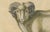 Paper Brodtmann, Spanish Sheep, Ewe, Lamb & Ram, Lithograph, 1816 For Sale - Image 7 of 9