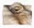 Antique early 20th century decorative terra cotta "brick". Sculpted face with central lion head motif in relief.