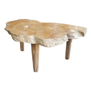 Andrianna Shamaris Single Slab Live Edge Coffee Table or Side Table For Sale