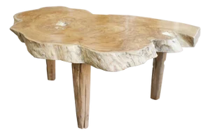 Andrianna Shamaris Single Slab Live Edge Coffee Table or Side Table