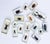 Mid-Century Modern Large Vintage Collection of 39 Lucite Encased Insect Study Specimens For Sale - Image 3 of 5