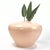 Elevate your space with a gorgeous touch of 1980s postmodernism. This stunning cased art glass urn vase was designed by...