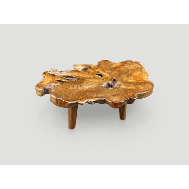 Andrianna Shamaris Single Slab Live Edge Coffee Table For Sale - Image 12 of 18