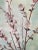 1950s Vintage Asian Chinoiserie Cherry Blossom Watercolor Painting For Sale - Image 5 of 11
