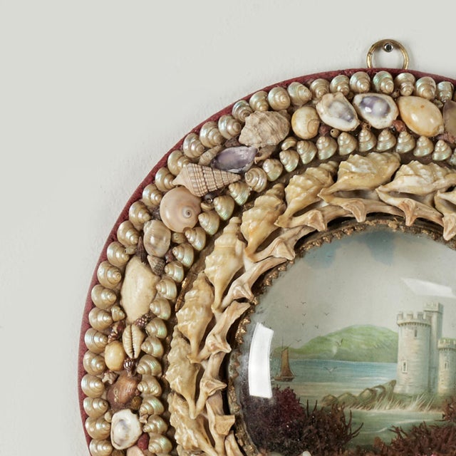 English Antique British Colonial Sailor's Valentine For Sale - Image 3 of 13