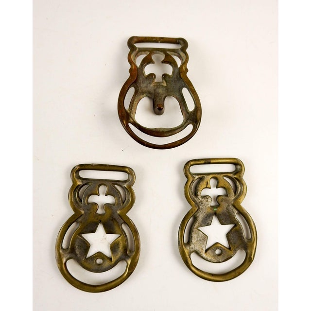 Antique Brass Horse Harness Buckles Set of 3 Chairish