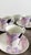 Mikasa 1970's Vintage Mikasa Vogue L1052 Fine Porcelain Floral Dinnerware Set - 26 Pieces For Sale - Image 4 of 8