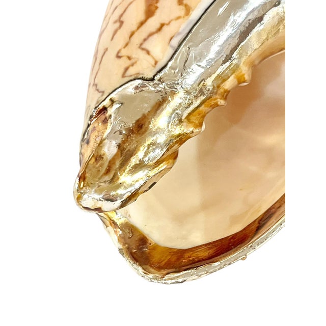 Traditional Partially Silvered Nobilis Shell in the Style of Bucellati 5” For Sale - Image 3 of 8