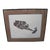 Nw Coast Haida Native Tom Speer Signed Artist Proof of Kingfisher Bird & Fish For Sale