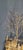 Mid-Century Modern 1970s Mid Century Modern Trees Umbrella Metal Brass Wall Art Rainy Day at the Bus Stop For Sale - Image 3 of 9