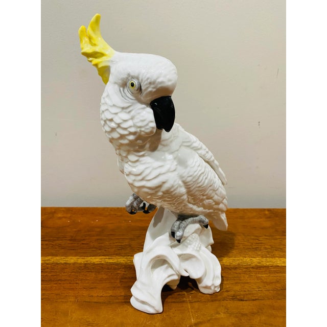 Rustic European English Staffordshire Fine Bone China Cockatoo Signed by T.J.Jones For Sale - Image 3 of 8