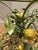 A painted sheet metal side table depicting a lemon tree, in the tradition of Italian, particularly Florentine, decorative...