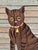 A cat sits framed by a pair of drawn-back curtains, its yellow eyes wide and watchful, a small pendant hanging from its...