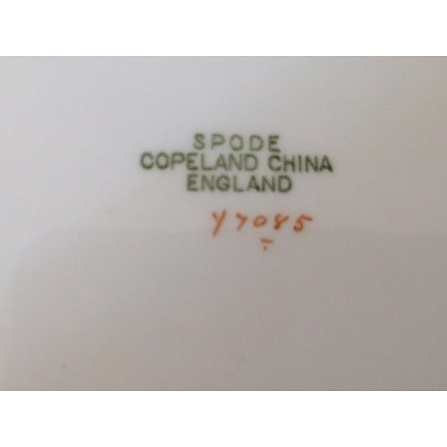 1940s Spode Plates and Compote With South Africa Old Coat of Arms 7