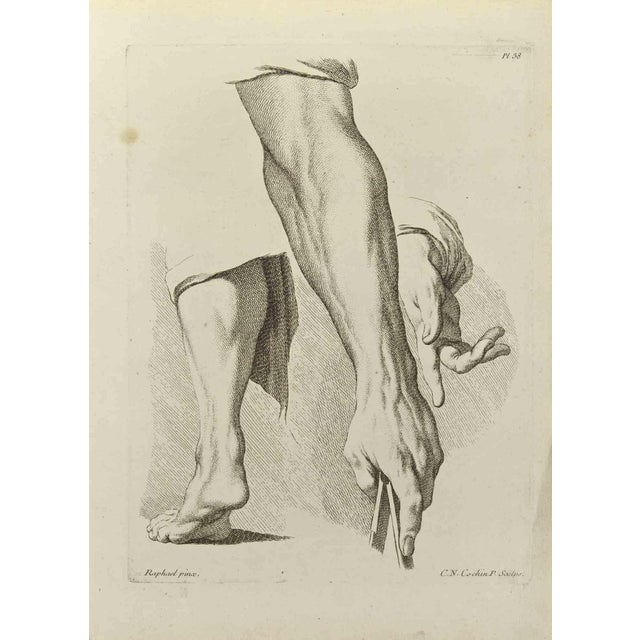 Nicholas Cochin, Anatomy Studies, Etching, 1755 For Sale