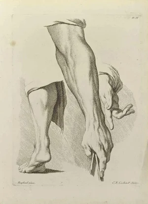 Nicholas Cochin, Anatomy Studies, Etching, 1755