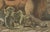 Paper Bertuch, a Lioness and Her Cubs, 1810, Engraving For Sale - Image 7 of 9