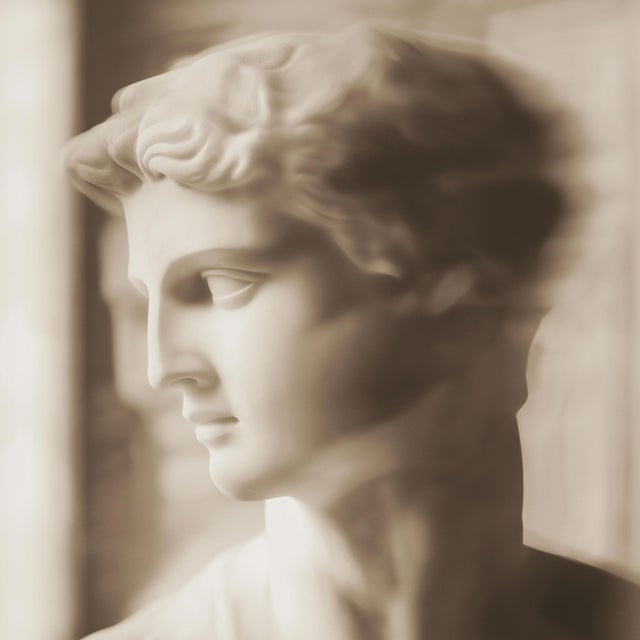 Contemporary Set of 18 Blurred Antique Profiles — Archival Prints of Restored Antique Photographs For Sale - Image 3 of 17