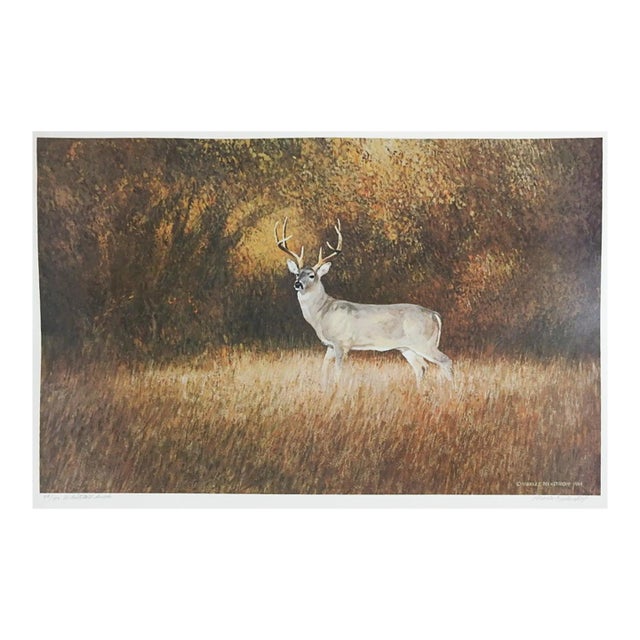 1984 Charles Beckendorf Whitetail Buck Print For Sale