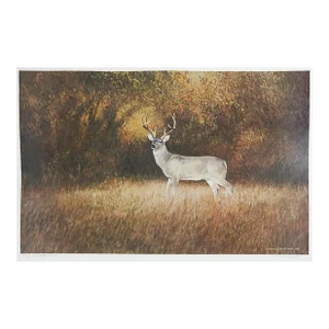 1984 Charles Beckendorf Whitetail Buck Print