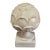 Decorative Ceramic White Artichoke Sculpture For Sale