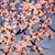 Fleurs by Hadley Rampton | Oil on Masonite Painting of pink flowers against a blue background For Sale