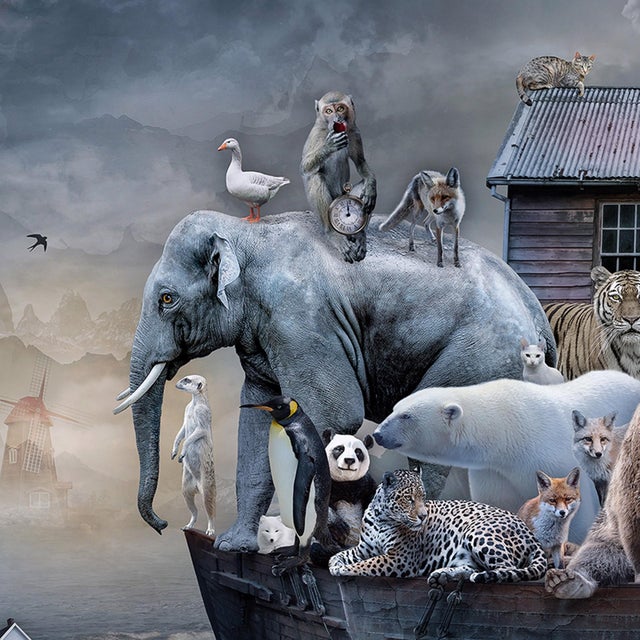 Contemporary In Search of Safe Harbor by Marcin Owczarek | Photography - Dye Sublimation on Aluminum of animals on a boat For Sale - Image 3 of 4