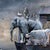 Contemporary In Search of Safe Harbor by Marcin Owczarek | Photography - Dye Sublimation on Aluminum of animals on a boat For Sale - Image 3 of 4