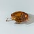 Vintage Lalique France “Tortue Caroline” Amber Crystal Turtle – Signed For Sale - Image 9 of 9