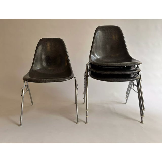 DSS Chairs by Charles and Rey Eames for Herman Miller, 1950, Set of 4 For Sale - Image 6 of 7