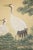 "Cranes and the Big Pine Tree", Showa Era Japanese Silk Scroll Painting For Sale - Image 10 of 17