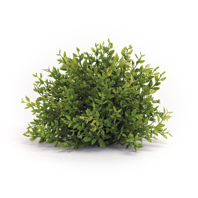Rustic Spring Mini Leaf Foliage Half Orb (Set of 6) For Sale - Image 3 of 4
