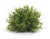Rustic Spring Mini Leaf Foliage Half Orb (Set of 6) For Sale - Image 3 of 4