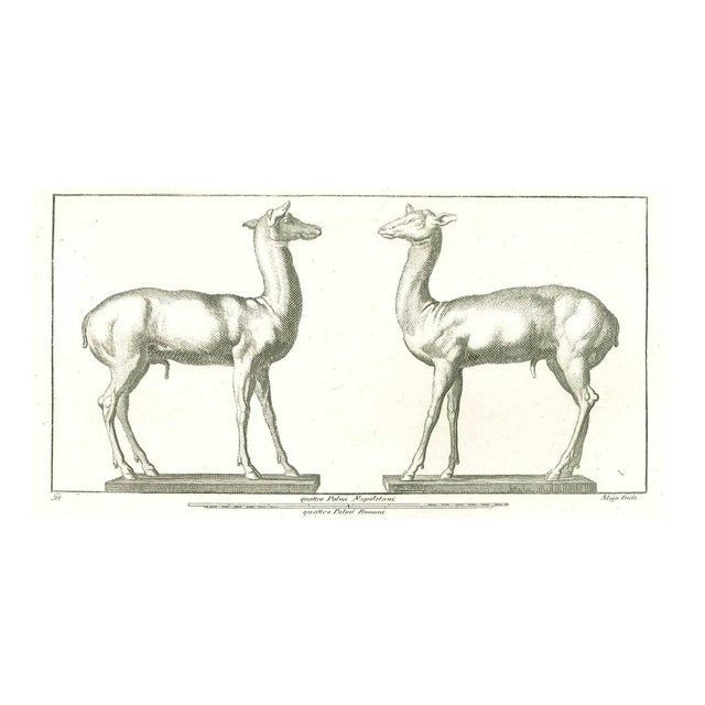 Vincenzo Aloja, Ancient Roman Statue, Original Etching, 18th-Century For Sale