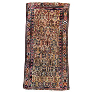 Kurdish Tribal Collectible Rug