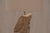 Stone French Sculptural Sandstone Table Lamp, 1970s For Sale - Image 7 of 10