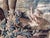 Beautiful antique verdure tapestry measuring approximately 42 x 59 inches. The tapestry depicts a striking naturalistic...