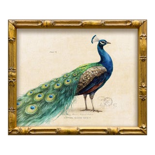Reproduction Vintage "Garden Friends" Art Print, Framed Peacock For Sale
