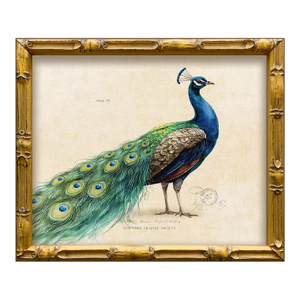 Reproduction Vintage "Garden Friends" Art Print, Framed Peacock