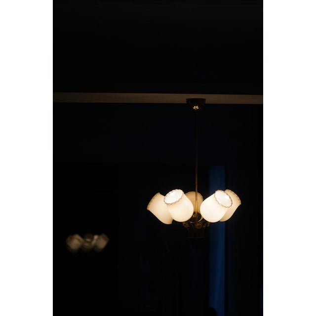 Mid-Century Modern Pendant Light in Brass and Glass, 1950s For Sale - Image 12 of 14