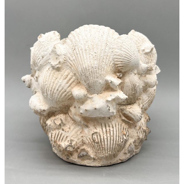 Contemporary Vintage Coquillage Cast Concrete Shell Planter - Coastal, Grotto, Organic Modern, Architectural, European Cottage For Sale - Image 3 of 10