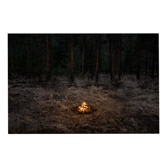 Ellie Davies, Fires 1, 2018, Photograph For Sale