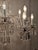 Bohemian Crystal 12-Light Chandelier, 1930s For Sale - Image 3 of 18