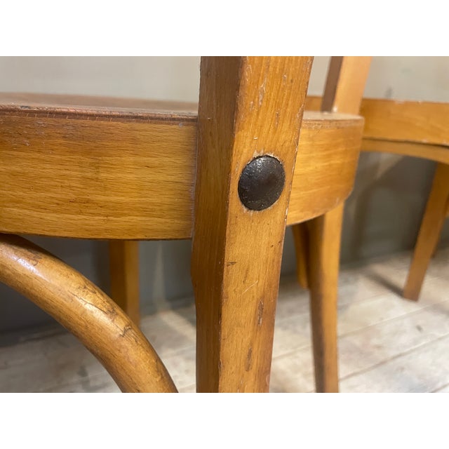 Vintage Bauhaus Chairs in Beech, 1950s, Set of 4 For Sale - Image 18 of 18