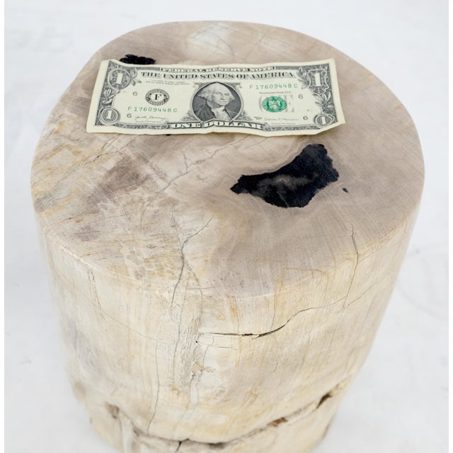 Beige Beige to Black Petrified Wood Organic Stomp Shape Stand End Side Table Pedestal For Sale - Image 8 of 8