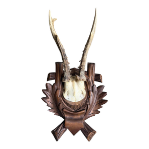 Roe Deer Trophy 185 Black Forest Antlers