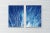 This is an exclusive handprinted limited edition cyanotype. "Fireworks Lights" is a minimal cyanotype diptych that shows...