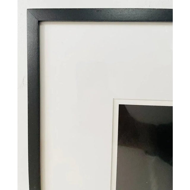 Photography Modern Genre Photography Print Titled " Bobbi's Ghost", Limited Edition For Sale - Image 7 of 10