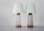 Mid-Century Modern Scandinavian Teak and Glass Table Lamps, Set of 2 For Sale - Image 5 of 13